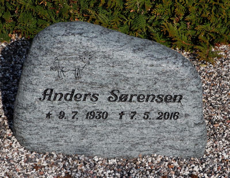 Anders Soerensen9.JPG